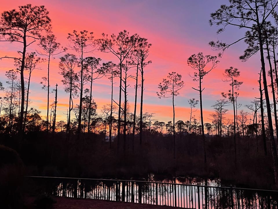 Beautiful sunset views over the water from the backyard