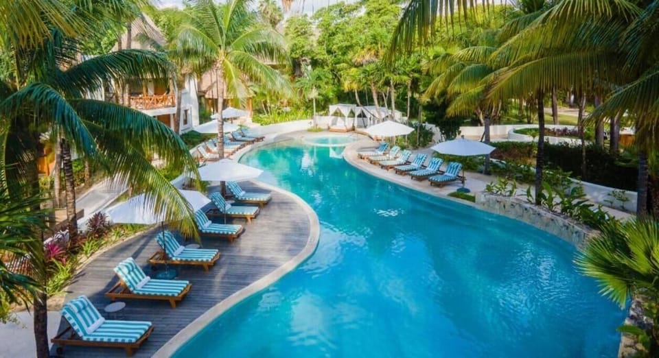 Unwind poolside with shaded loungers tucked into tropical palms.