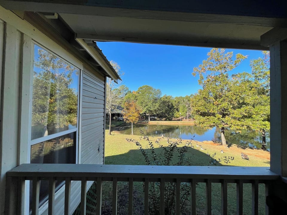 Deck View