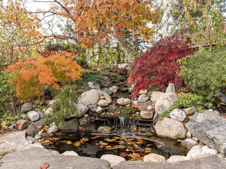 Waterfall/ Pond