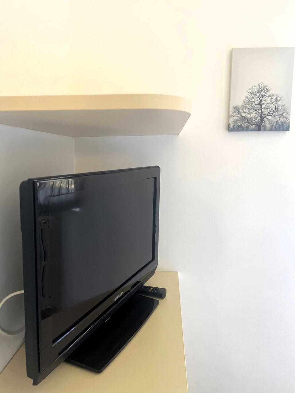 Television