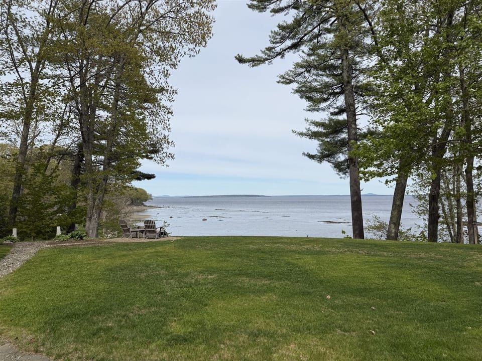 Winter view