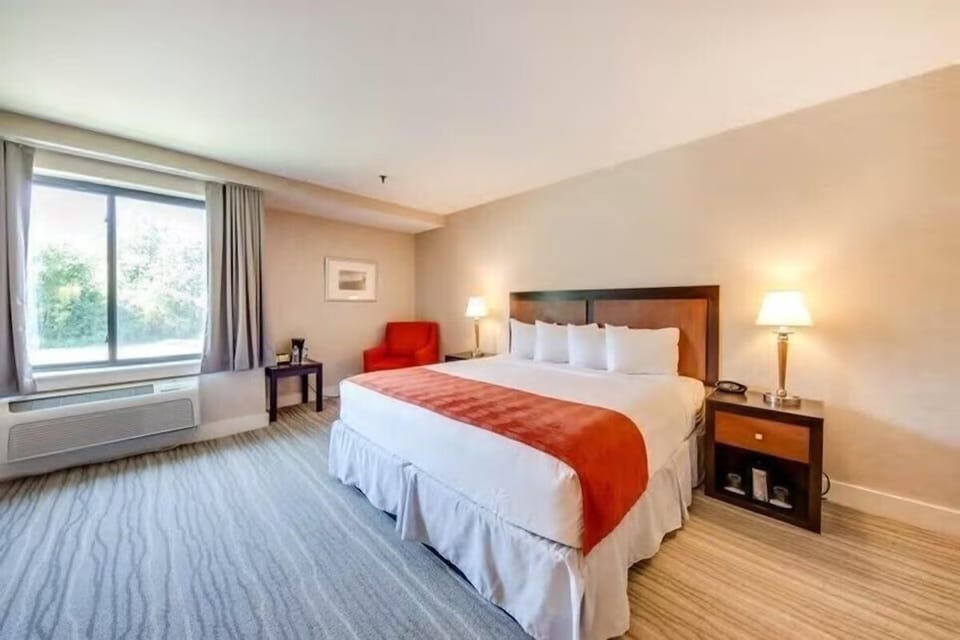 Wake up refreshed in a bright, airy king room.