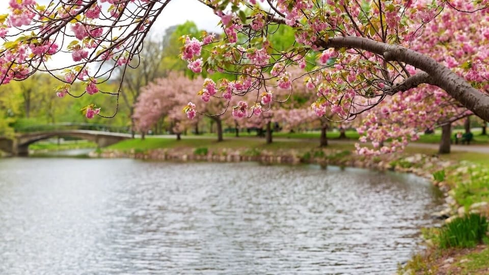 Catch iconic local sights just minutes from your doorstep.