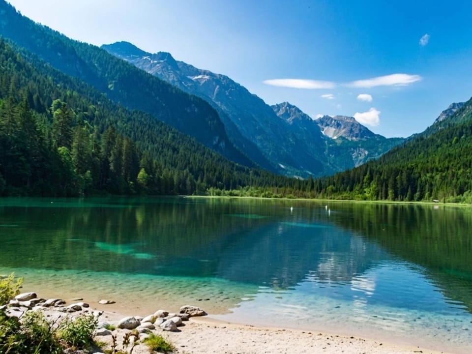 Region [summer] (>5 km)
