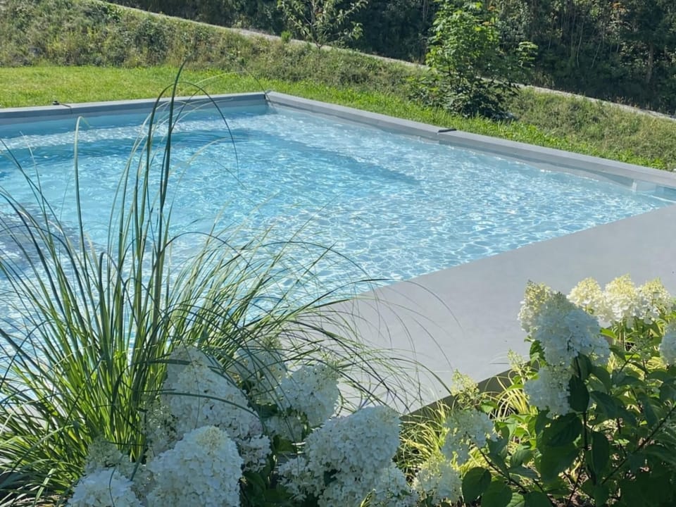 Holiday Home Swimming Pool