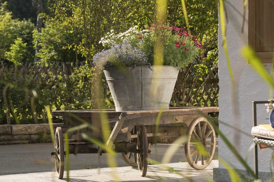 Garden [summer]