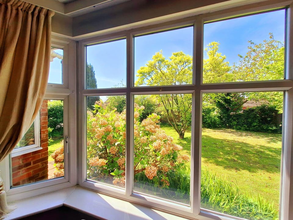 Well-lit front window view.