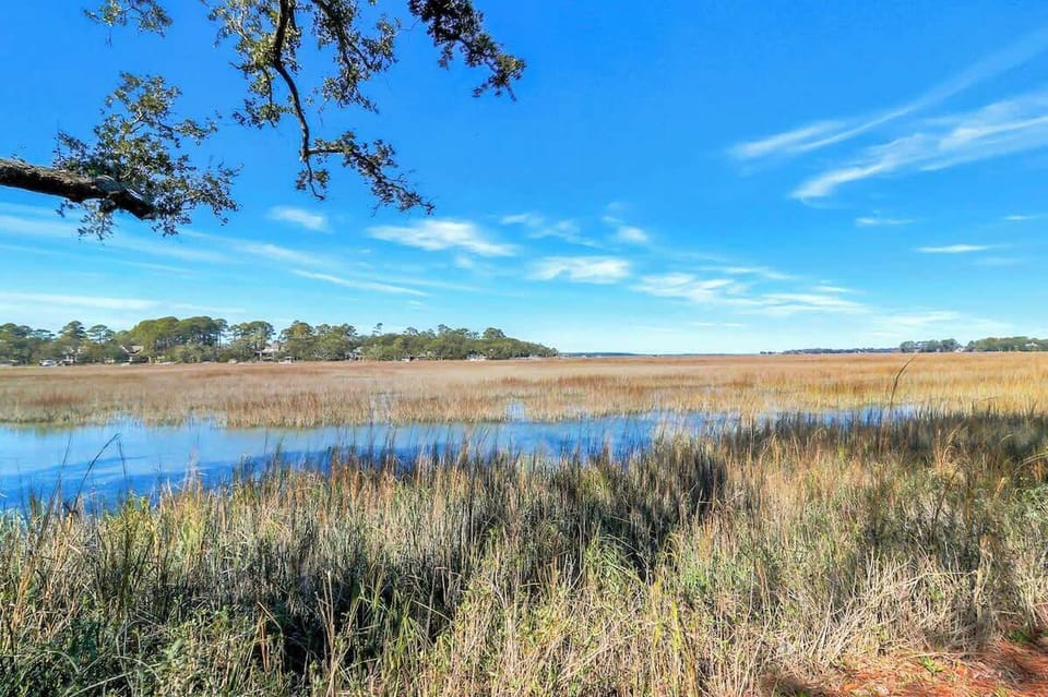 Peaceful wetland marshes stretch under brilliant blue skies, offering tranquil natural scenery near the property.