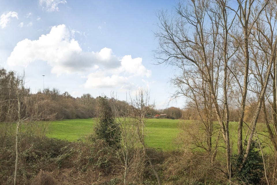 An open green field with bare trees under a blue sky, visible in the area surrounding the property.