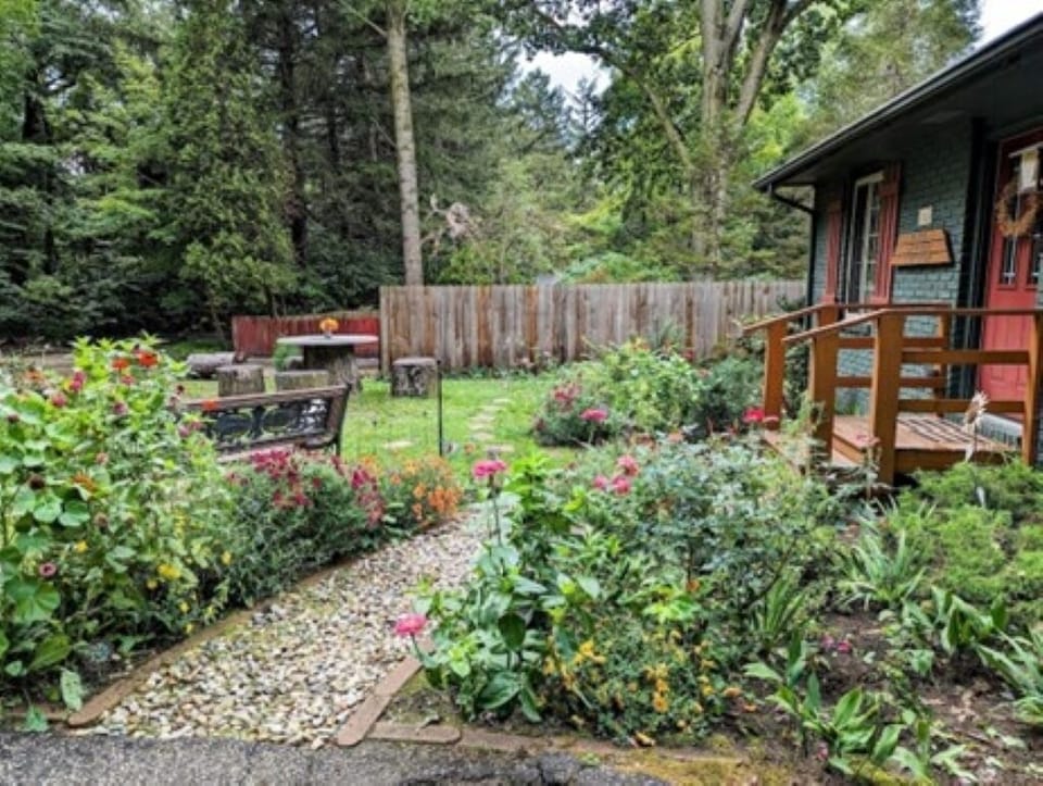 Front Yard