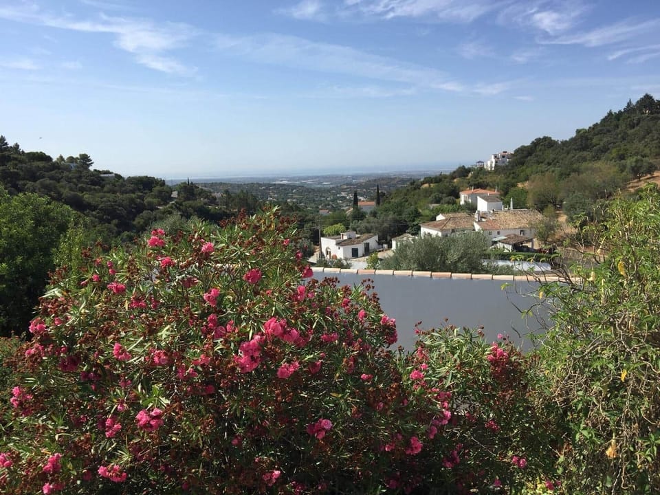 Vue toit terrasse Faro Oeste
