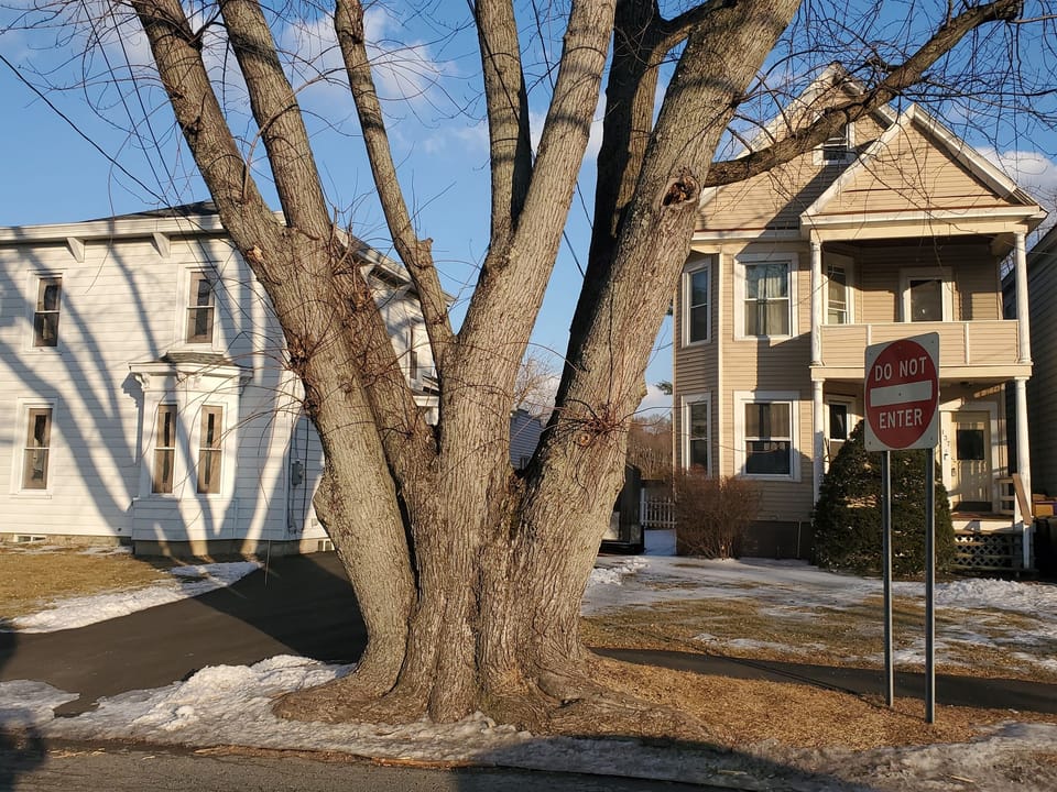 Park to unload in front of tree then park on street