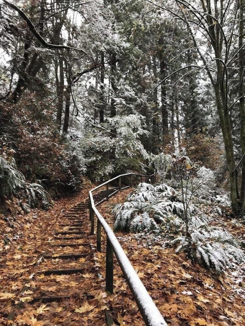 ...and winter