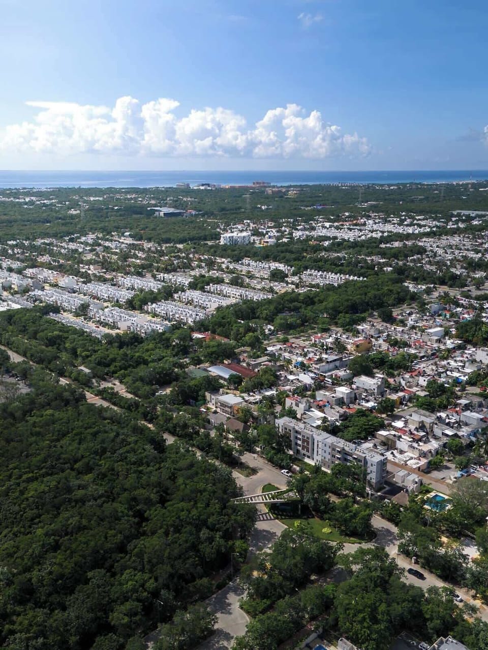 Aerial view