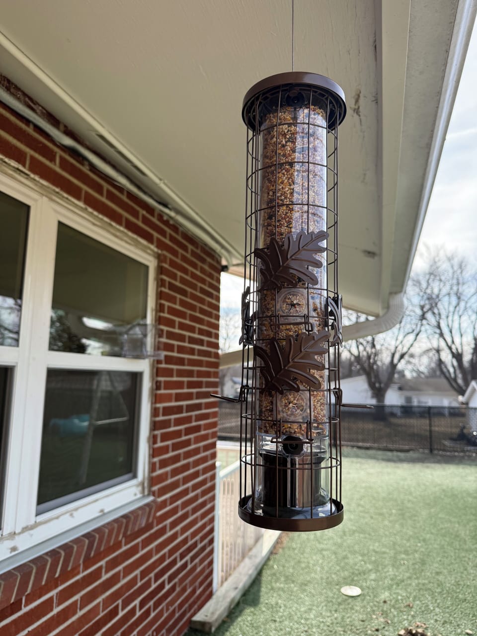 Bird feeders outside of coffee bar