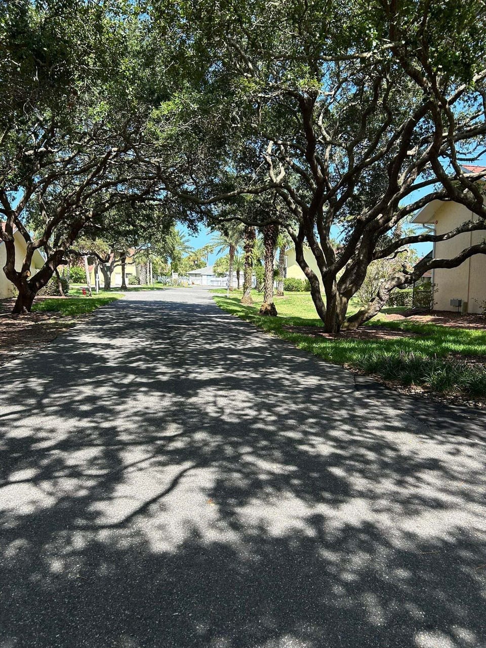 St. Augustine Beach Vacation Rental Property Views