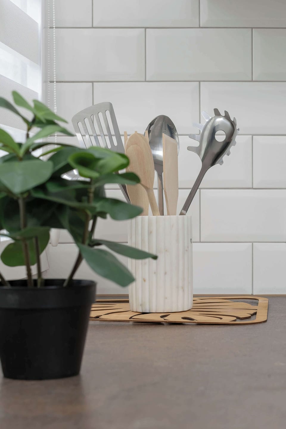 Close-up of a decorative plant in a black pot placed on the kitchen counter next to a container with utensils. White tiles on the wall add style to the interior.