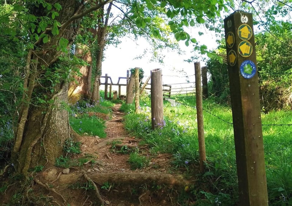 Wonderful walks including the Tamara Way accessible from The Count House.