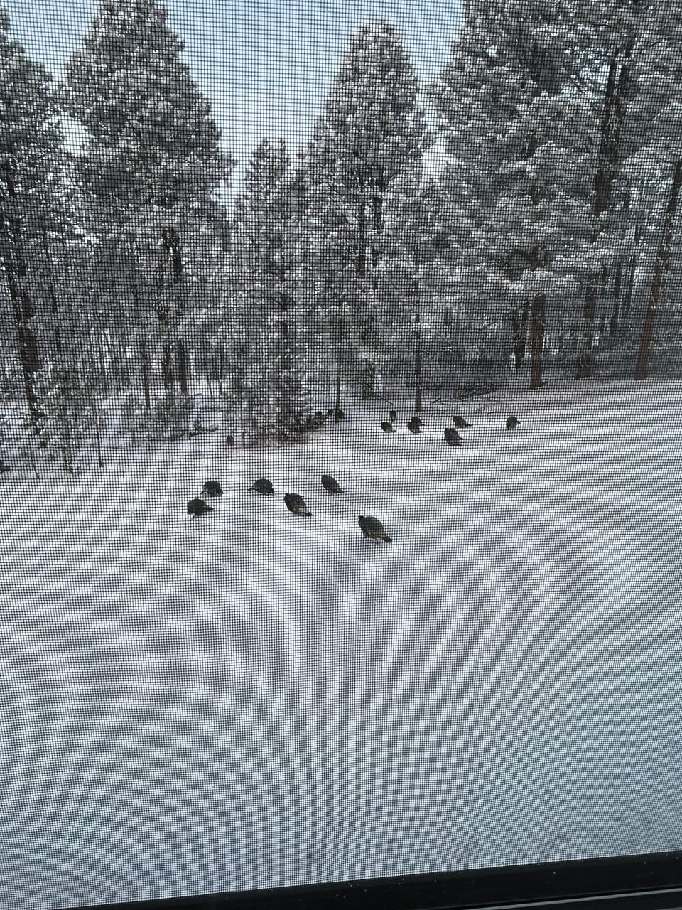 View from property