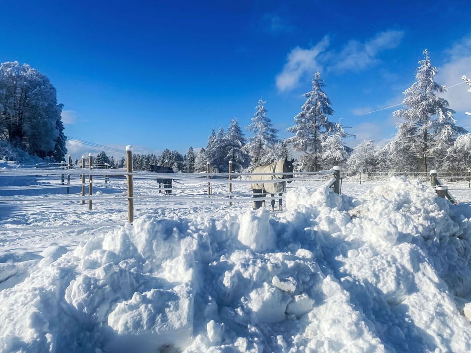 Snow, Blue, Winter, Daytime, White, Branch, Cloud, Freezing, Frost, Geological Phenomenon