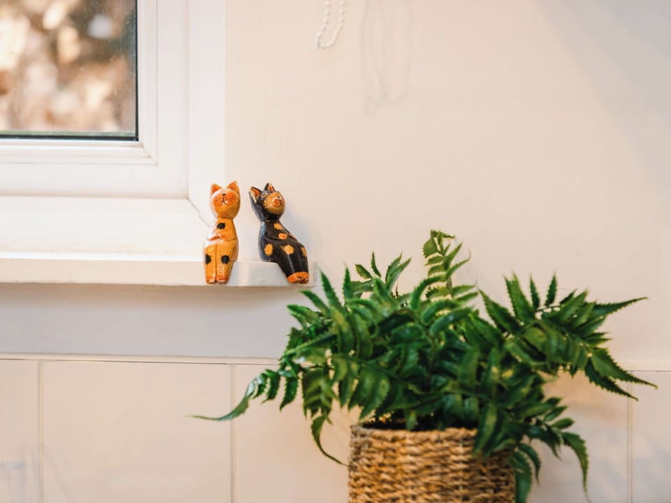 Flowerpot, Houseplant, Vase, Still Life Photography, Floral Design, Herb, Pottery