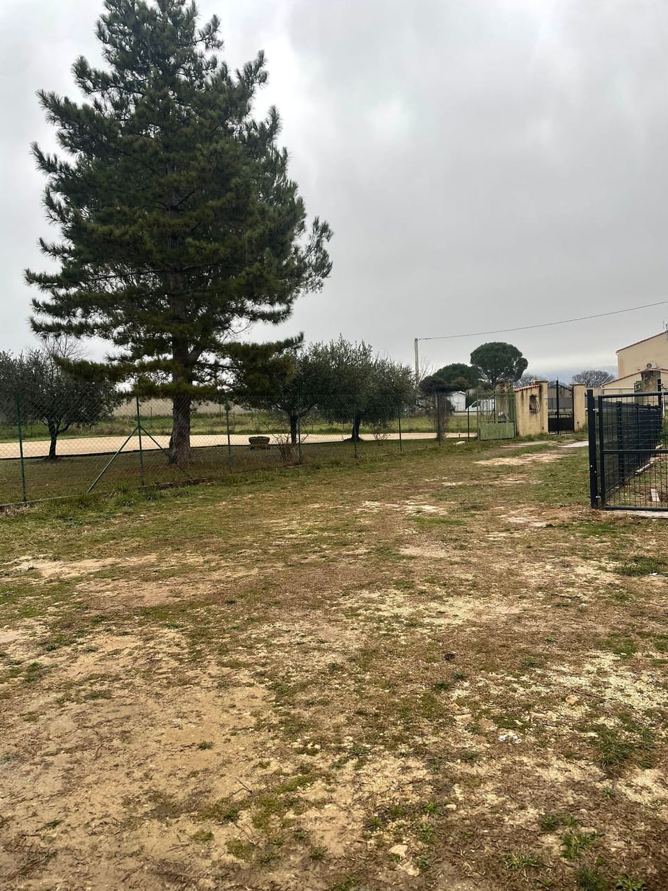 Property grounds