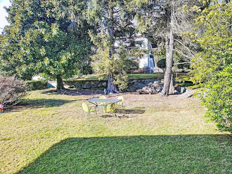 Green, Leaf, Grass, Branch, Shrub, Garden, Landscape, Shade, Lawn, Sunlight