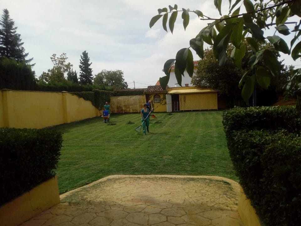 Property grounds