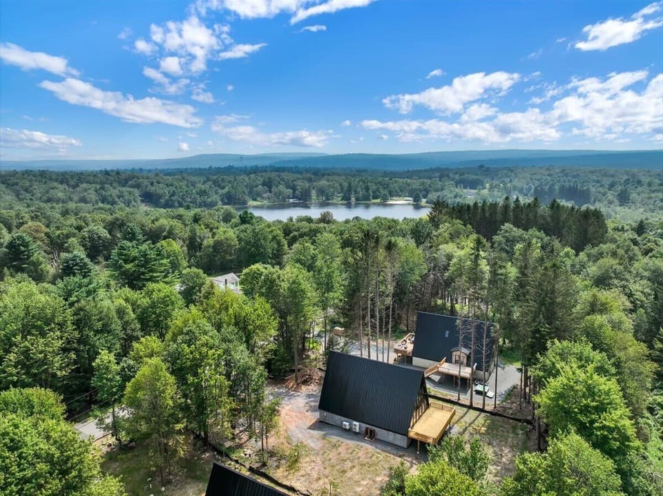 Scenic Aerial Forest & Lake Views