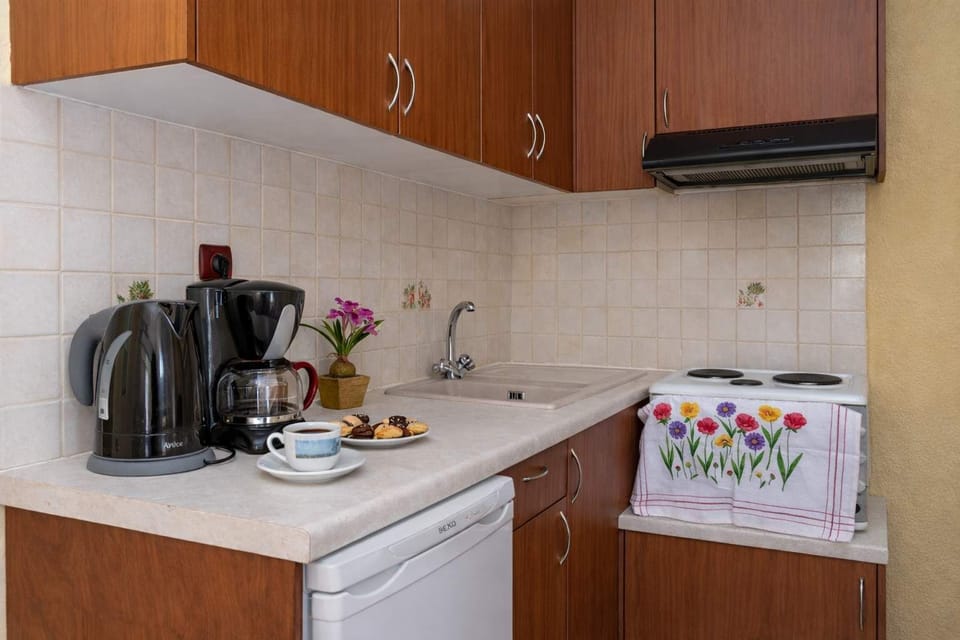 Compact and practical kitchen space with cooking essentials.
