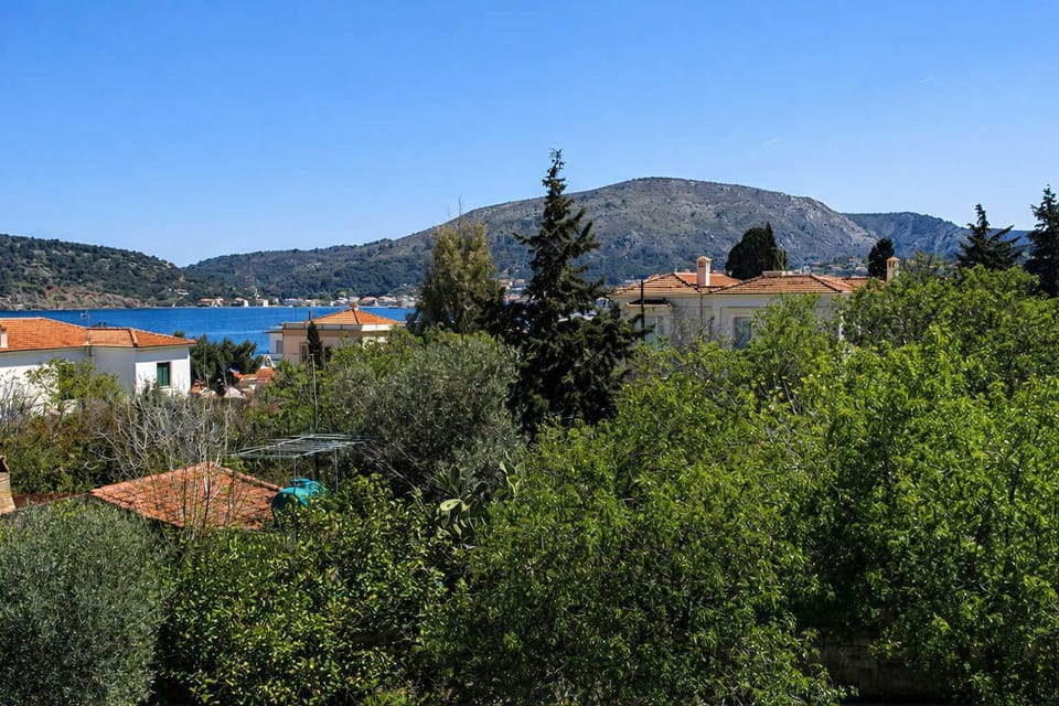 Peaceful views over olive trees and the sparkling blue sea.