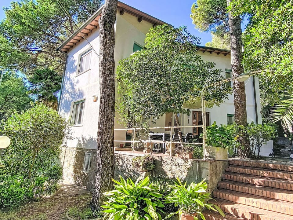 Home, Cottage, Estate, Shade, Yard, Villa, Backyard, Balcony