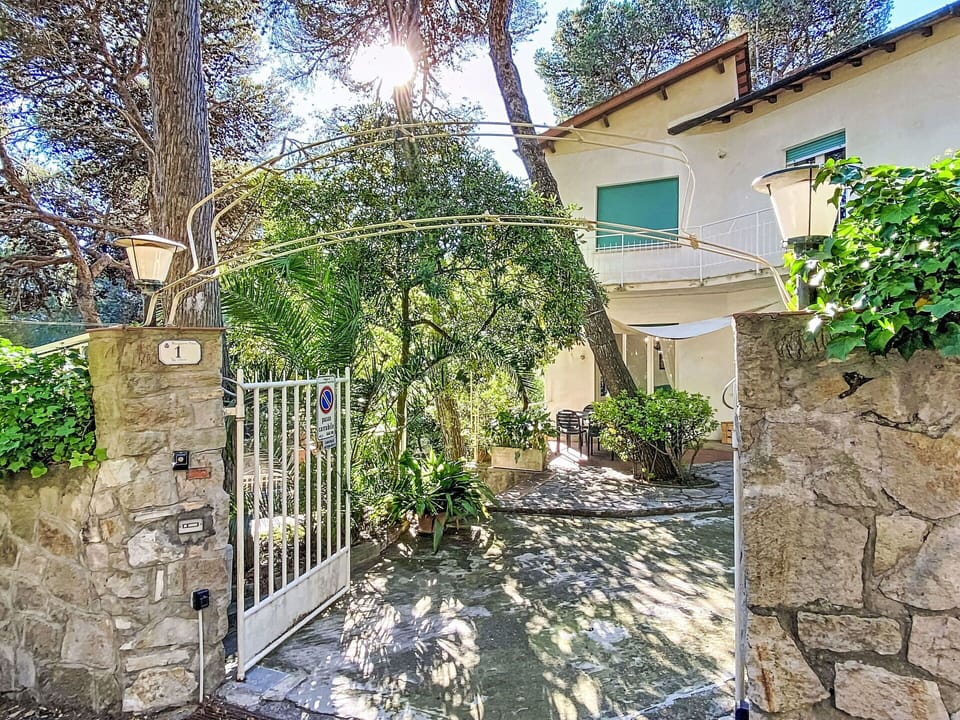 Garden, Flowerpot, Shade, Flagstone, Houseplant, Yard, Driveway, Gate, Landscaping, Courtyard
