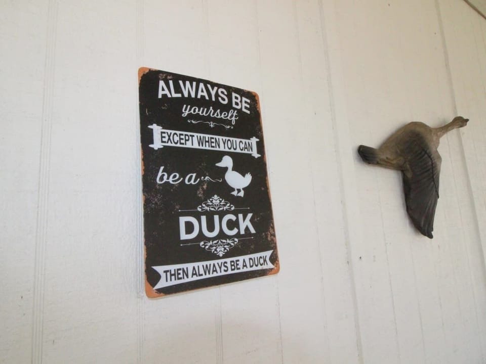 When you can, Always be a Duck!