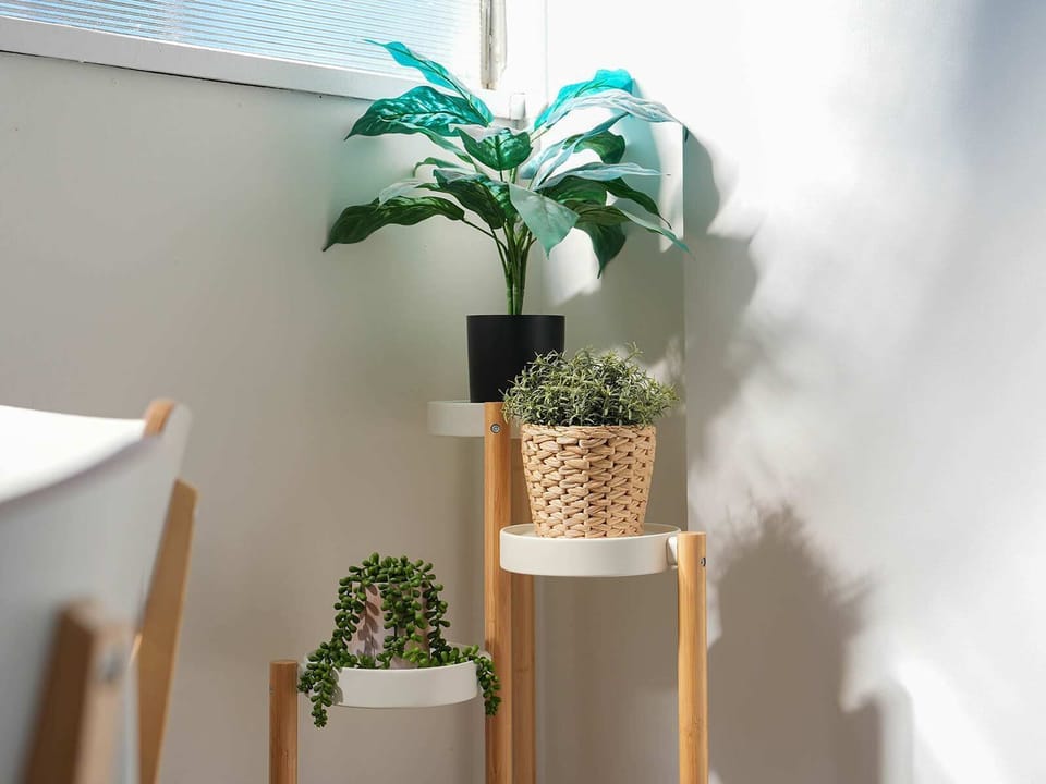 Property Decor