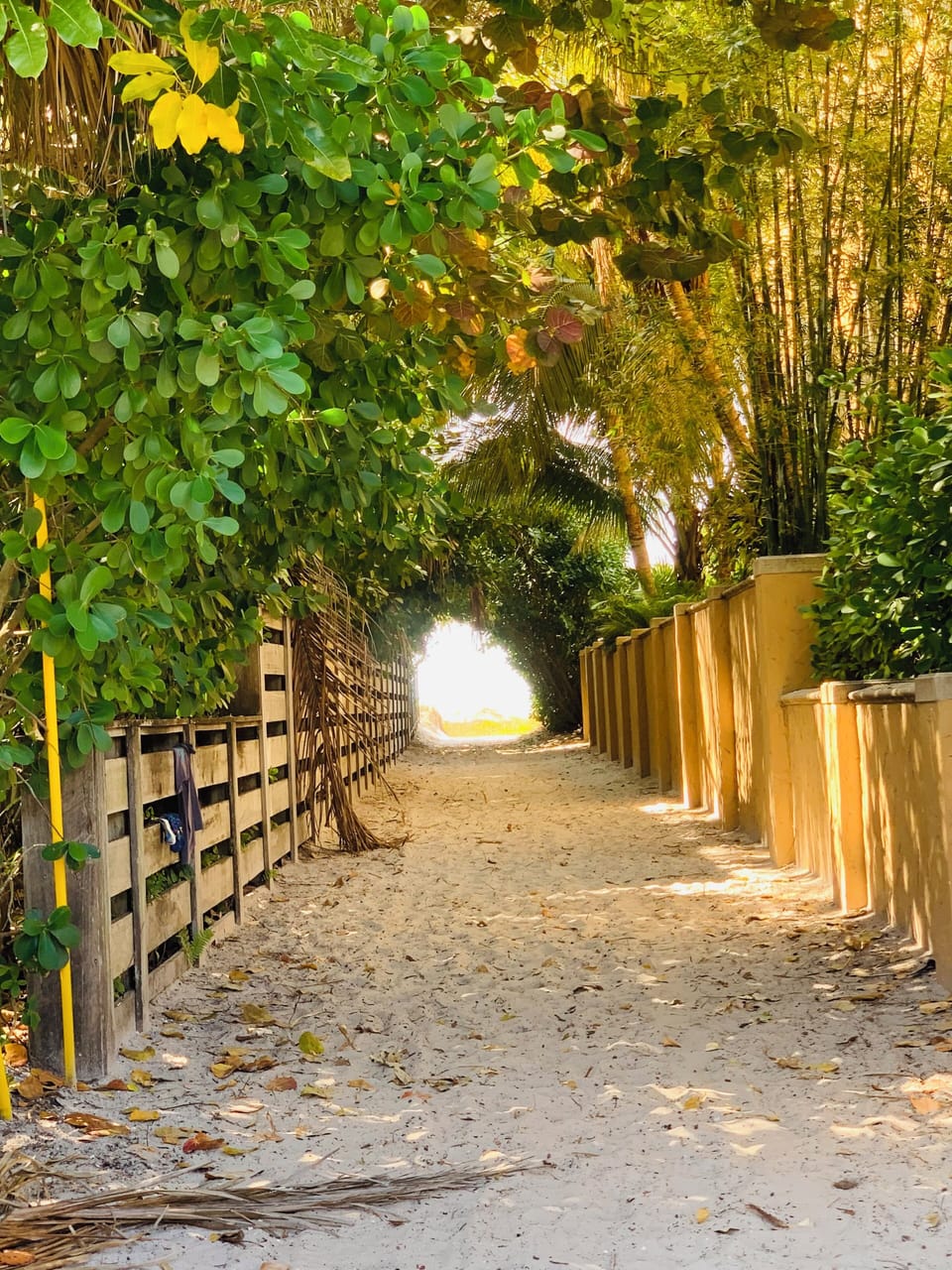 Path to beach.