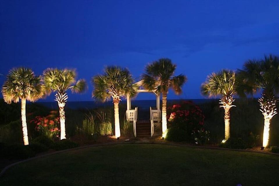BACK YARD AT NIGHT