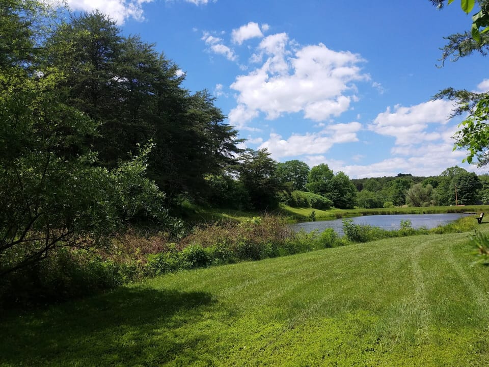 Property pond located below cabin