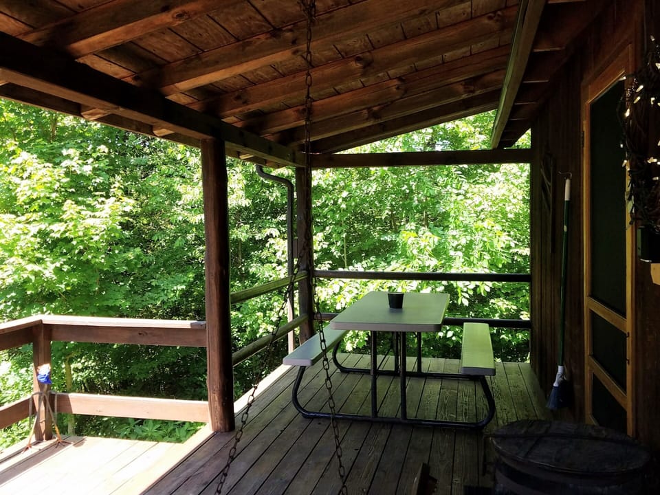 Front porch - porch swing and picnic table