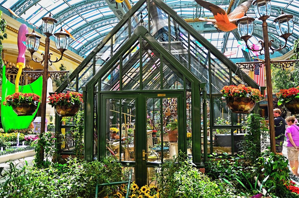 Wander through a lush indoor conservatory bursting with color.