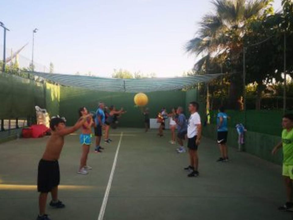 Sport court