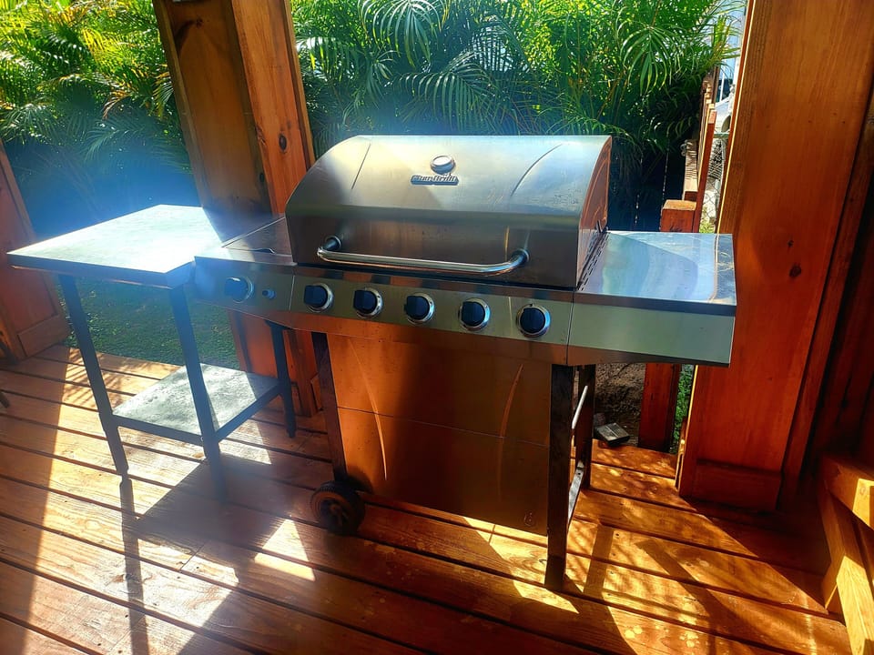 propane grill