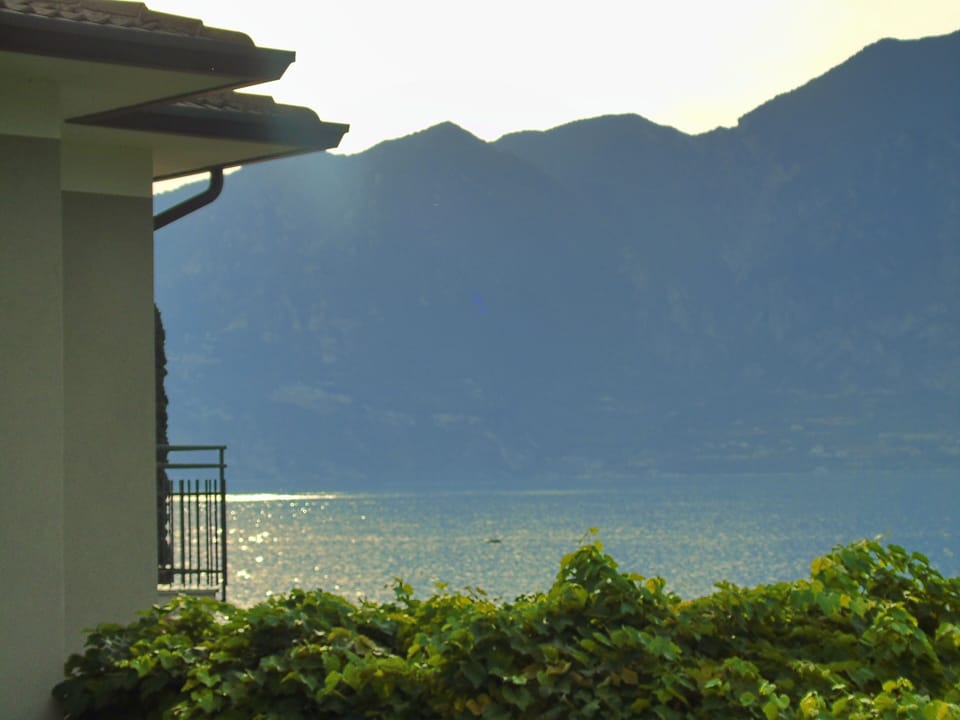 Lake view
