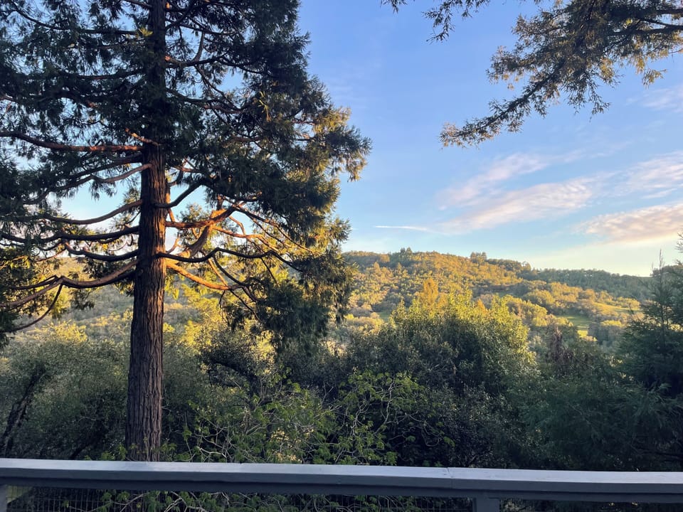 View from property