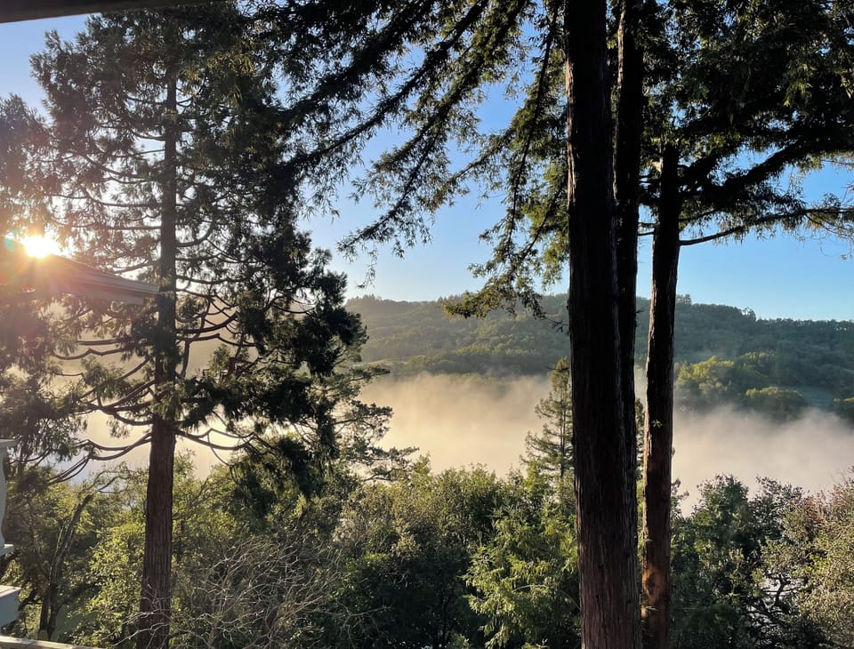 View from property