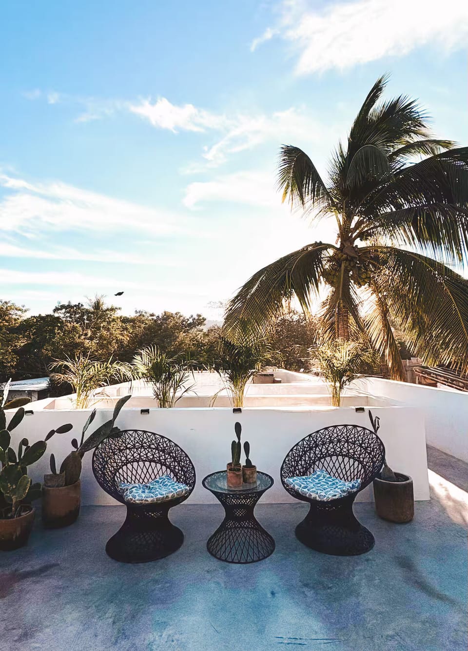 Relax on the rooftop