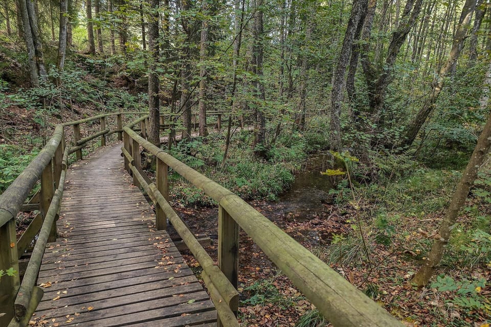 Region [summer] (>5 km)