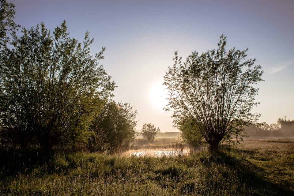 Wake to golden sunrise strolls across peaceful countryside wetlands.