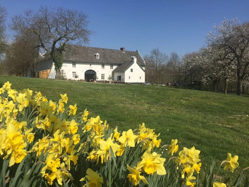 authentic Limburg square farmhouse dating back to 1713